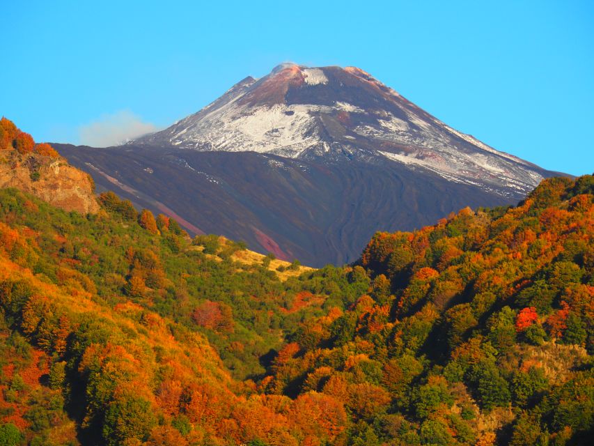 Sicily: Mount Etna's North Slope Craters Guided Hike Tour - Walking beside the lava flow