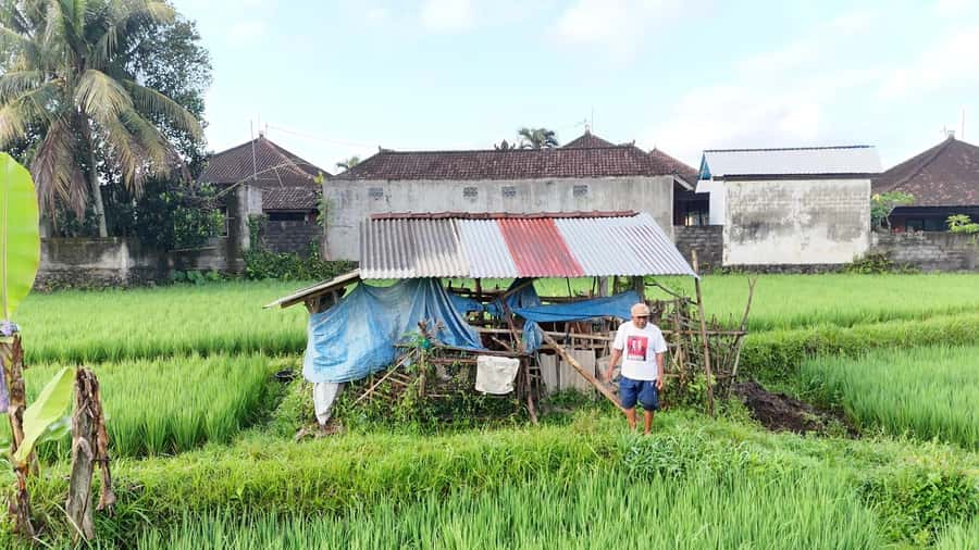 Sidemen rice terraces trek and local village walk - Through the rice paddies and irrigation channels