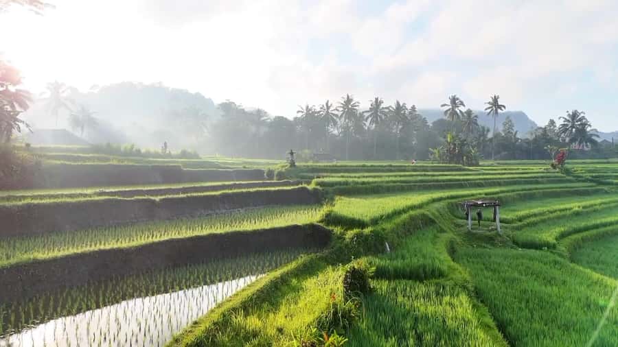 Sidemen rice terraces trek and local village walk - Meeting your guide in Tabola village
