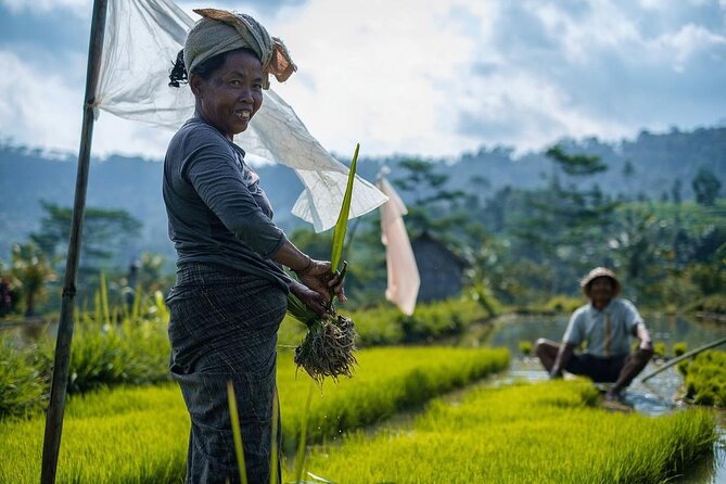 Sidemen Trekking: A Walk from a Different Perspective - Why this Sidemen walk feels different from a standard rice-field stop