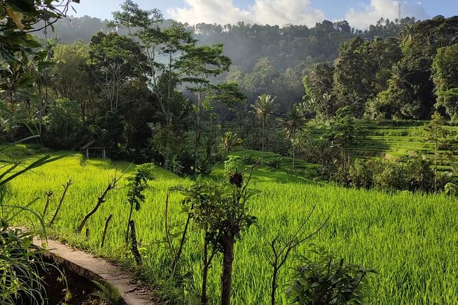Sidemen Trekking: A Walk from a Different Perspective - Walking from the market toward the rice fields
