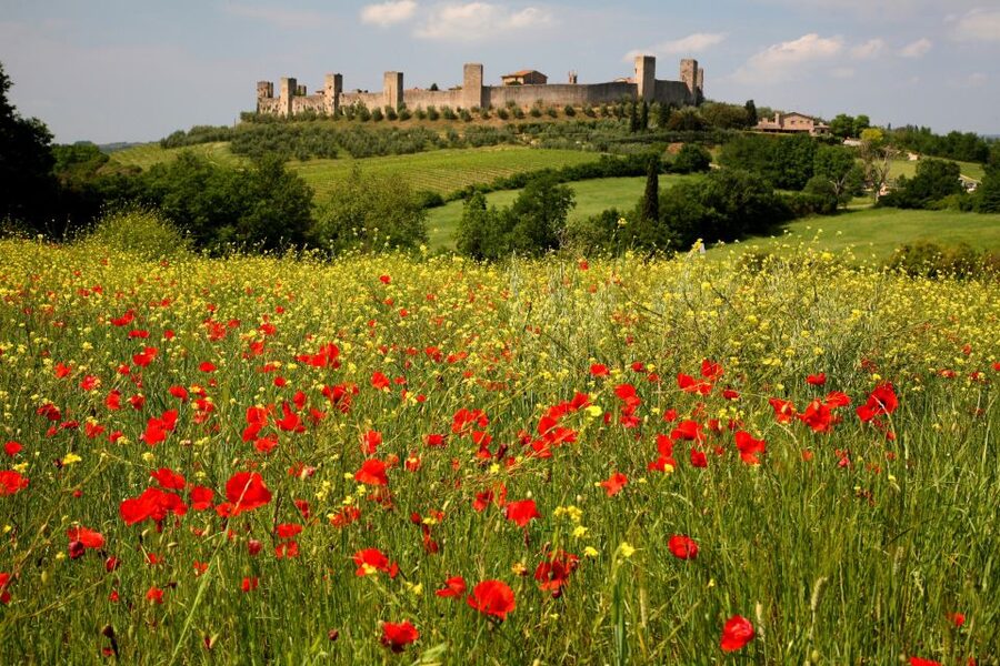 Siena: Half-day Guided Hike to Monteriggioni - Return to Siena by bus