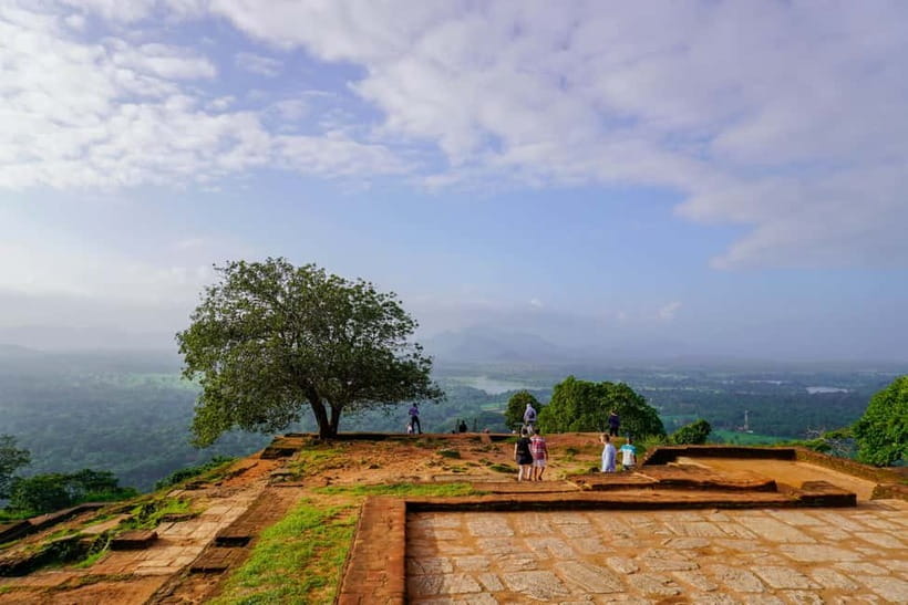 Sigiriya Lion Rock Hike & Minneriya National Park Safari - Who will enjoy this day most