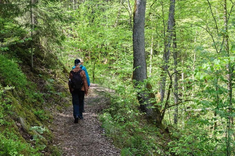 Sigulda Hiking Tour: A Day in the Switzerland of Latvia - Sigulda Castle ruins and New Castle