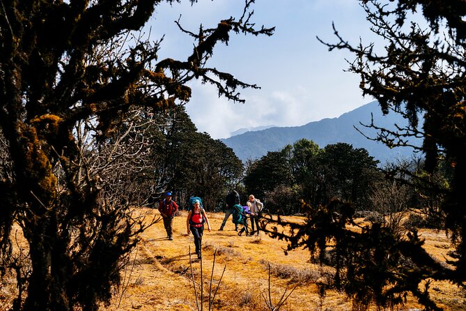 Singalila Ridge Trek from Darjeeling - 6 Days - Day 3: Sunrise at Sandakphu and the route toward Phalut
