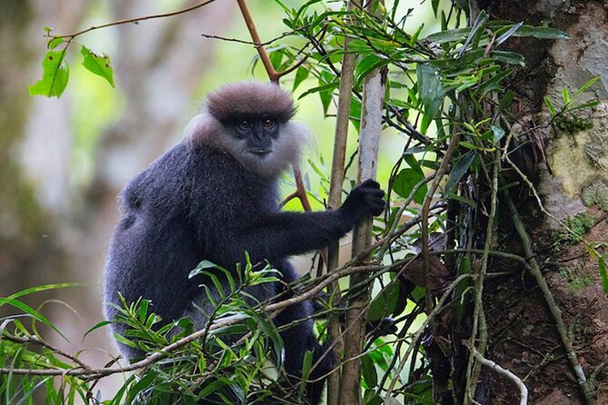 Sinharaja Rainforest Trekking Private Day Trip with Local Lunch - Who will enjoy this trek most