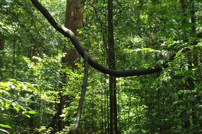 Sinharaja Rainforest Trekking Private Day Trip with Local Lunch - Is $120 per person good value?