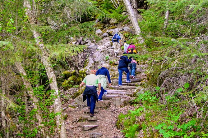Skagway Shore Excursion Chilkoot Trail Hike and Float Tour - Rainforest plants, mushrooms, and Gold Rush stories