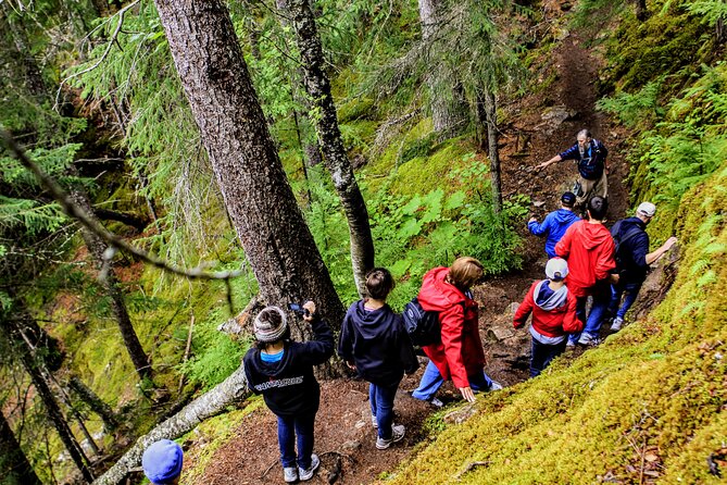 Skagway Shore Excursion Chilkoot Trail Hike and Float Tour - Price and value at $145.39