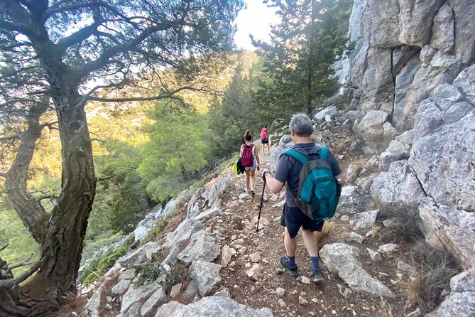 Small Group Hiking on Mount Akramitis in Rhodes - Walking through the pine and cypress forest