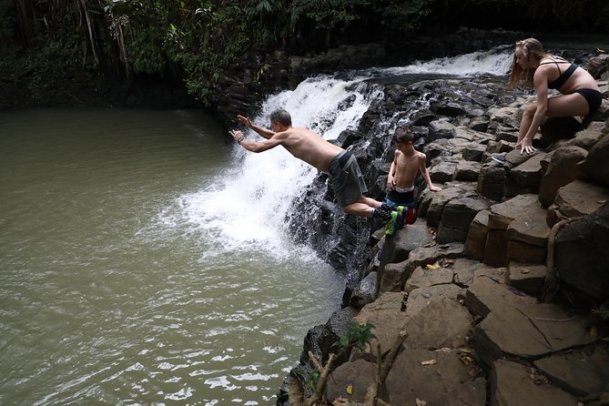 Small Group Waterfall and Rainforest Hiking Adventure on Maui - Waterfalls, swimming holes, and rock jumps