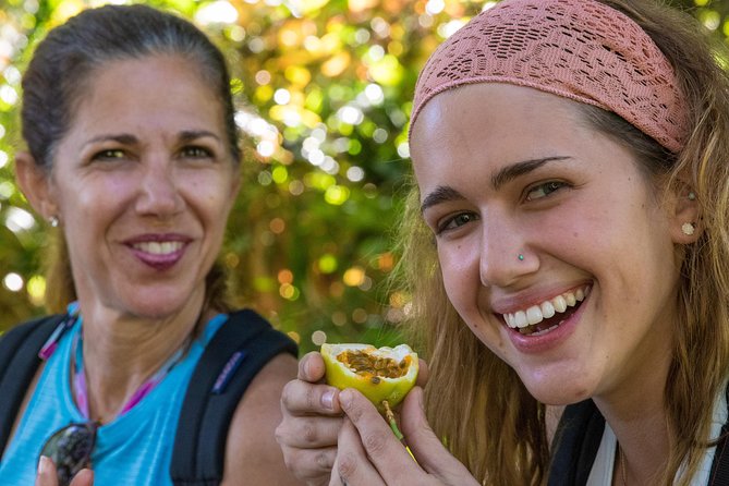 Small Group Waterfall and Rainforest Hiking Adventure on Maui - Lunch, snacks, and what the $187.43 price buys