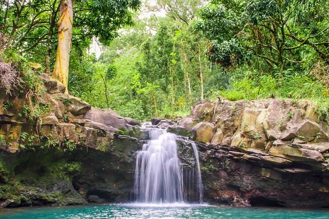 Small Group Waterfall and Rainforest Hiking Adventure on Maui - Who will enjoy this half-day adventure