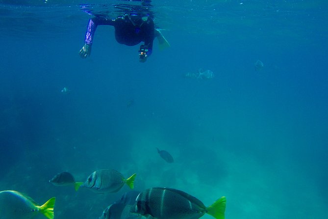 Snorkel Adventure and Hike to a Hidden Beach - When tides and weather change the plan