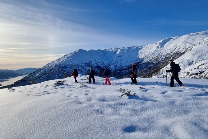 Snowshoe hiking in Bergen - Public tour - Key details before you book