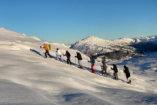 Snowshoe hiking in Bergen - Public tour - From Strandkaien to Gullbotn’s winter trails