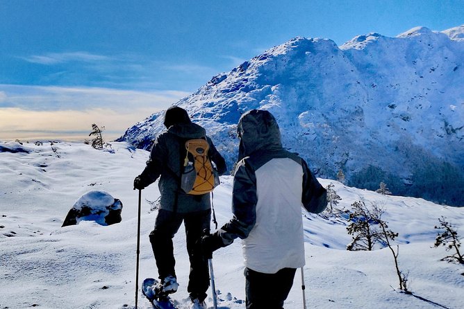 Snowshoe hiking in Bergen - Public tour - What the guides add to the day