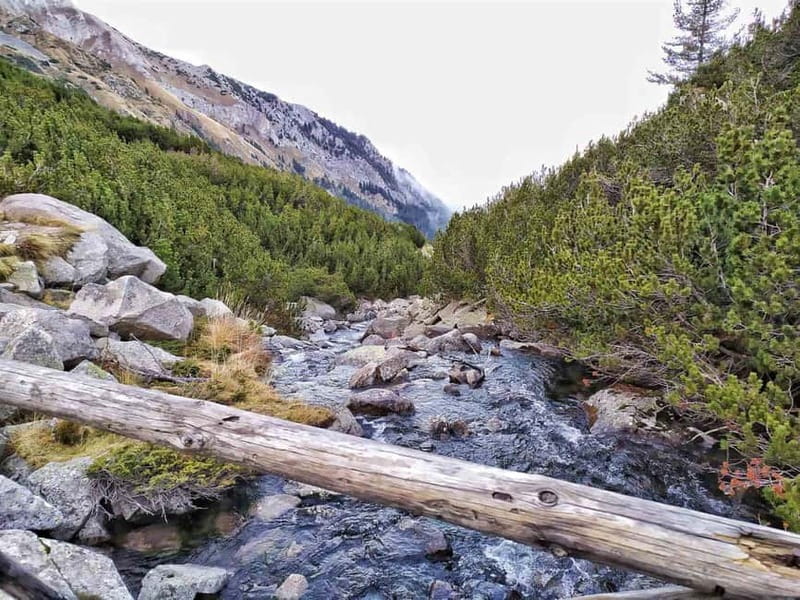 Sofia: Pirin National Park Hike & Bansko Visit - From Sofia to the Pirin Mountains