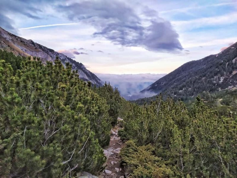 Sofia: Pirin National Park Hike & Bansko Visit - Practical details for a smoother day