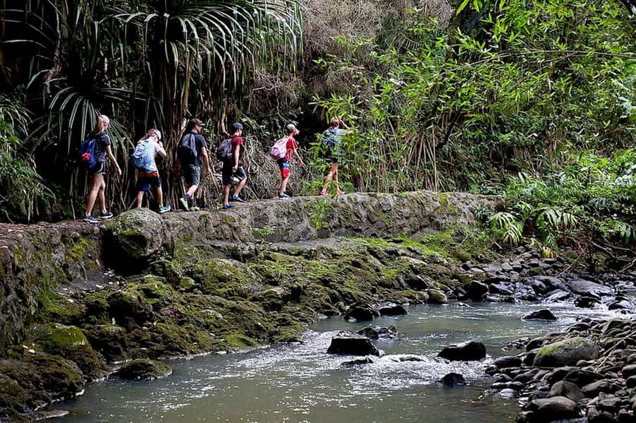 South Maui: Waterfall Tour w/ Kayak, Snorkel, and Hike - Who will get the most from this day