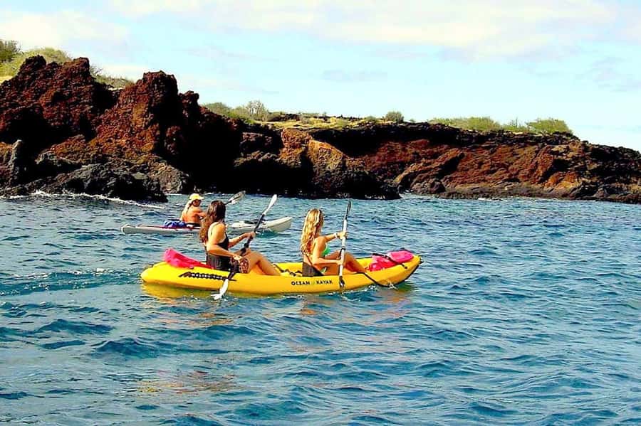 South Maui: Waterfall Tour w/ Kayak, Snorkel, and Hike - Snorkeling and the search for Green Sea Turtles