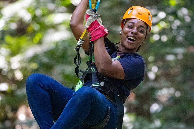 St Lucia Ultimate 3: Aerial Tram, Zipline and Hiking at Rainforest Adventures - The walk to the canopy course