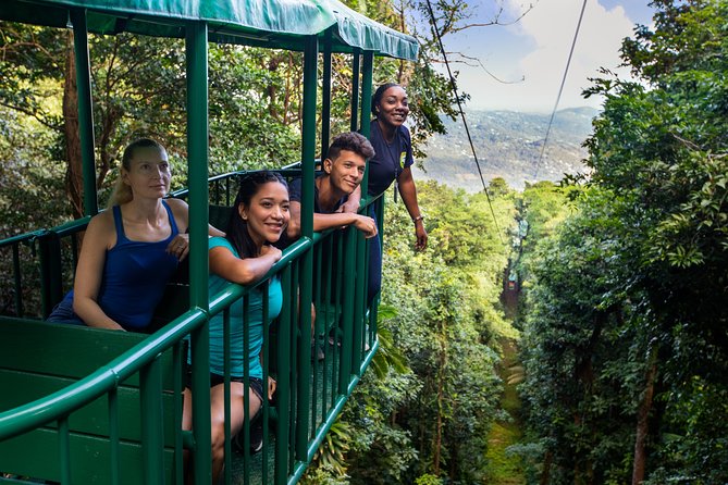 St Lucia Ultimate 3: Aerial Tram, Zipline and Hiking at Rainforest Adventures - Eight zip lines and 16 platforms in the canopy
