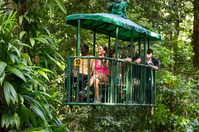 St Lucia Ultimate 3: Aerial Tram, Zipline and Hiking at Rainforest Adventures - The return path and second tram ride