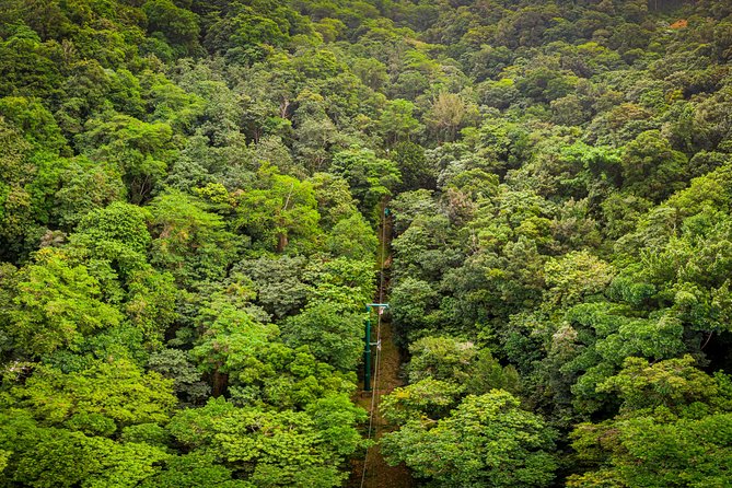St Lucia Ultimate 3: Aerial Tram, Zipline and Hiking at Rainforest Adventures - What the guides add to the day