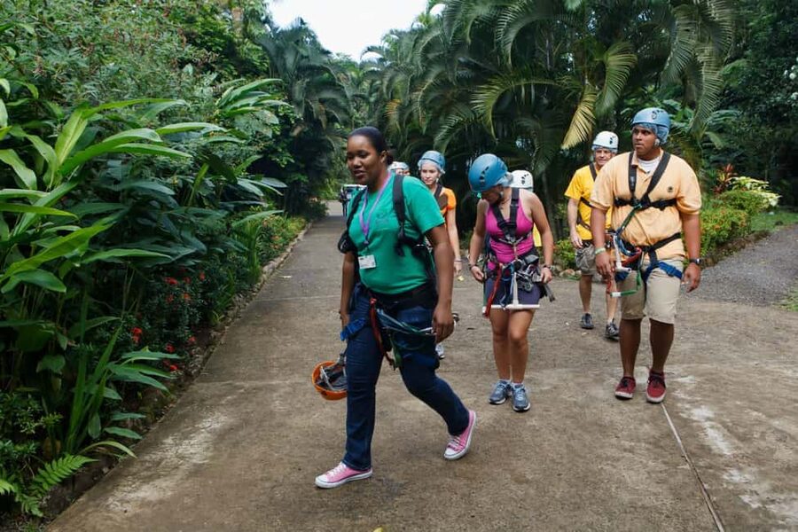 St Lucia Ultimate 3 Package: Aerial Tram Zip Line & Hiking - Zip Lines Above the Canopy