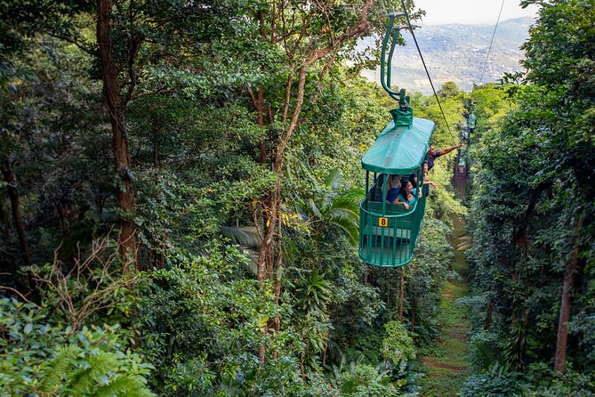 St. Lucia Zip line, Aerial Tram and Hiking tour Ultimate 3 - Quick points before you book