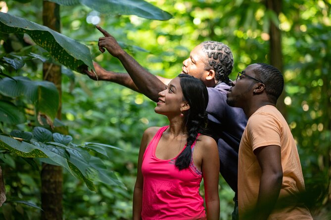 St. Lucia Zip line, Aerial Tram and Hiking tour Ultimate 3 - Eight zip lines, 16 platforms, and plenty of coaching