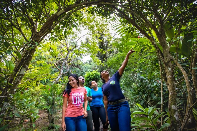St. Lucia Zip line, Aerial Tram and Hiking tour Ultimate 3 - The walk back is not just an afterthought