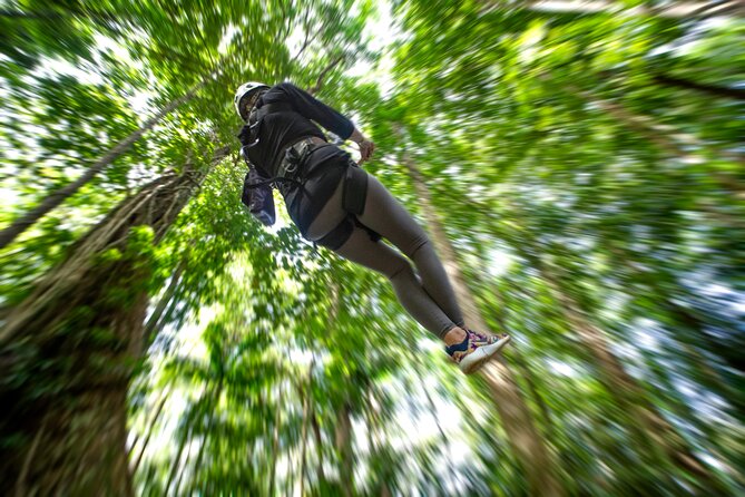 St. Lucia Zip line, Aerial Tram and Hiking tour Ultimate 3 - Is $95 good value?