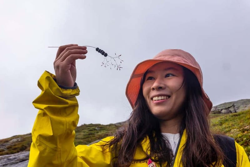 Stavanger: Kjerag Summer Hike with Packed Lunch - Key points to know before booking