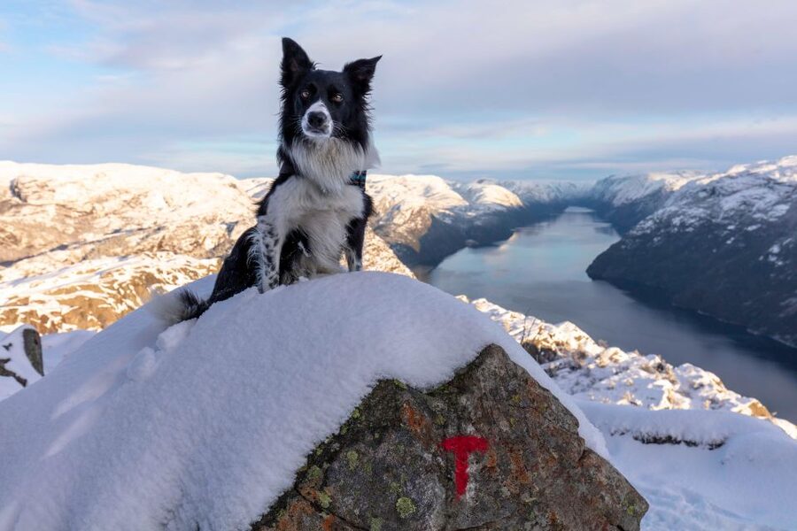 Stavanger: Preikestolen Winter Hike + Hot Lunch - Why winter makes Preikestolen more rewarding, and harder