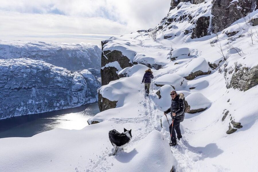 Stavanger: Preikestolen Winter Hike + Hot Lunch - Who should book this winter hike?