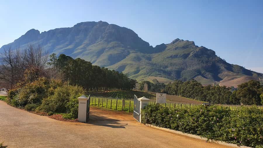 Stellenbosch: Guided Vineyard Hike and Wine Tasting - Why this Banhoek walk feels different from a standard wine tour
