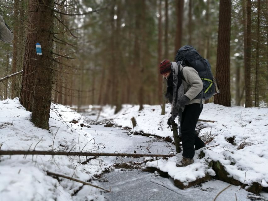 Stockholm: Nature Hike with Campfire Lunch - From Stockholm streets to a quiet nature reserve