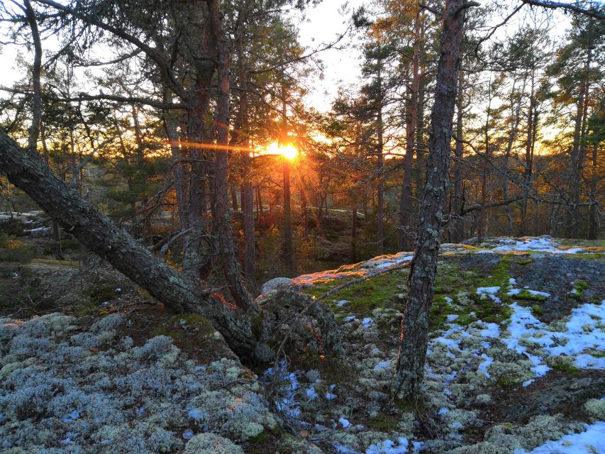 Stockholm: Nature Hike with Campfire Lunch - Afternoon wildlife watching and the frozen lake option