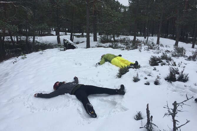 Stockholm: Nature Reserve Hiking Tour with Campfire Lunch - Key points at a glance