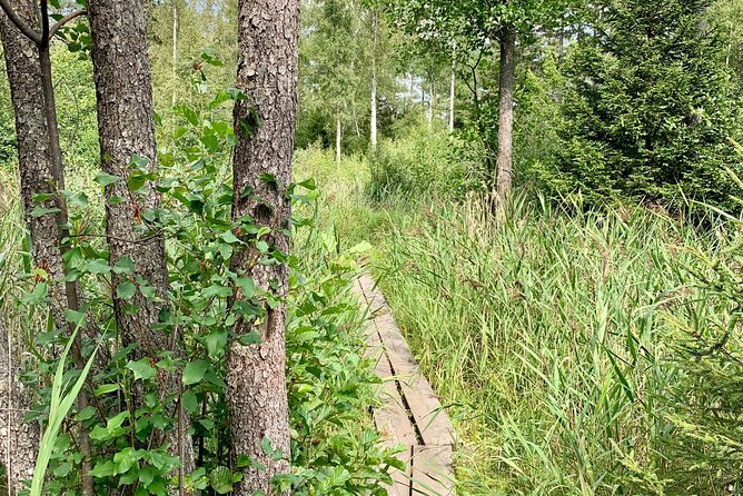 Stockholm: Nature Reserve Hiking Tour with Campfire Lunch - The second two-hour walk