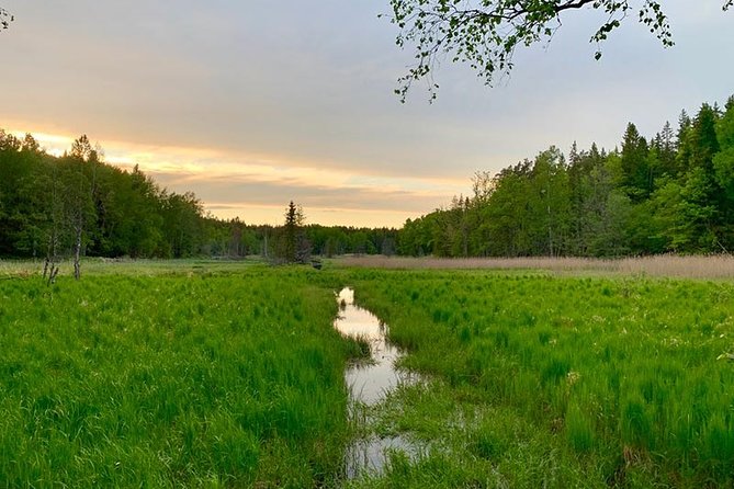 Stockholm: Sunset Hike in Tyresta National Park with Meal - Leaving Stockholm by local bus