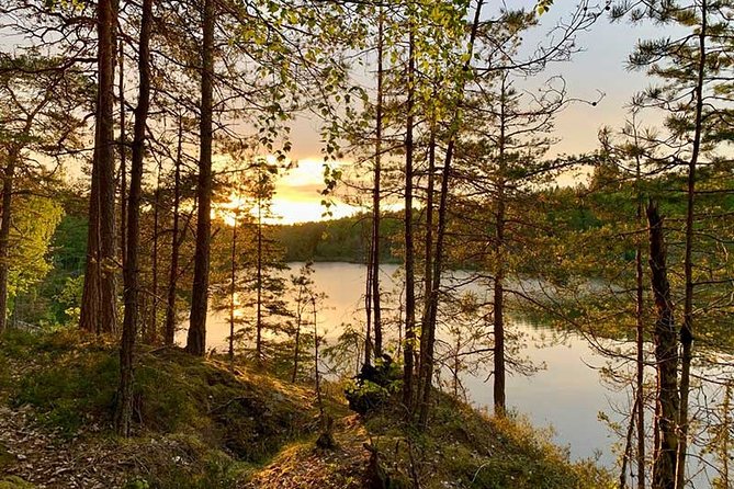 Stockholm: Sunset Hike in Tyresta National Park with Meal - The first 1.5 hours through Tyresta’s old forest