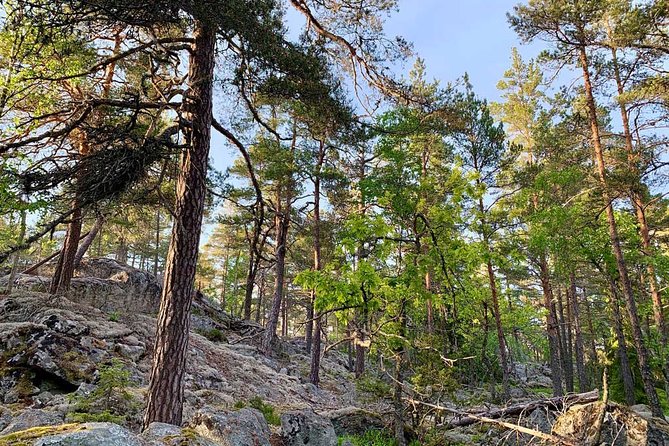 Stockholm: Sunset Hike in Tyresta National Park with Meal - What to wear for the 6 to 8 kilometer route