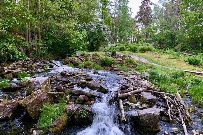Stockholm: Sunset Hike in Tyresta National Park with Meal - How difficult is the hike?