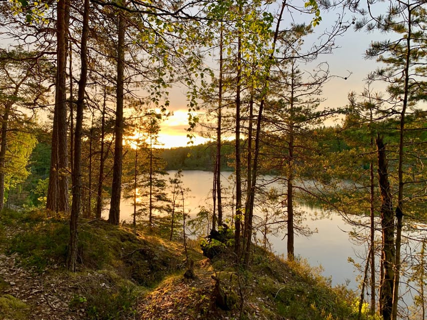 Stockholm: Sunset Hike in Tyresta National Park with Meal - Continuing into darkness