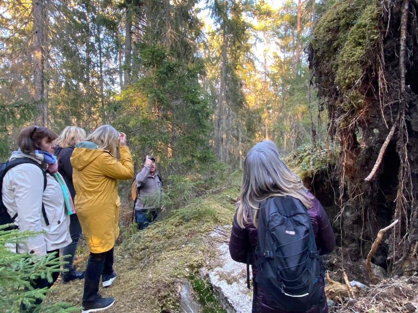 Stockholm: Wildlife Tour With Dinner and Short Hike - Practical details before you book