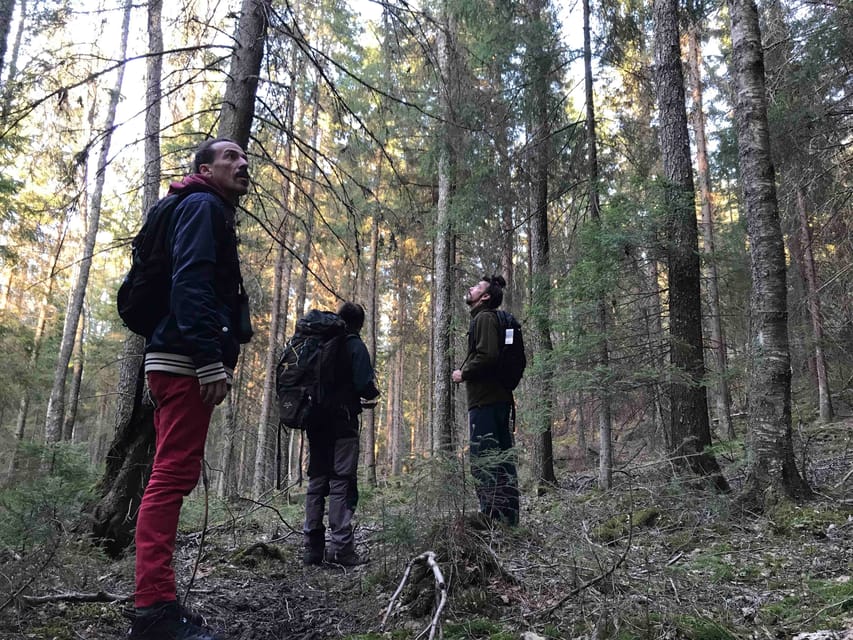 Stockholm: Wildlife Tour With Dinner and Short Hike - How the seasons change the experience