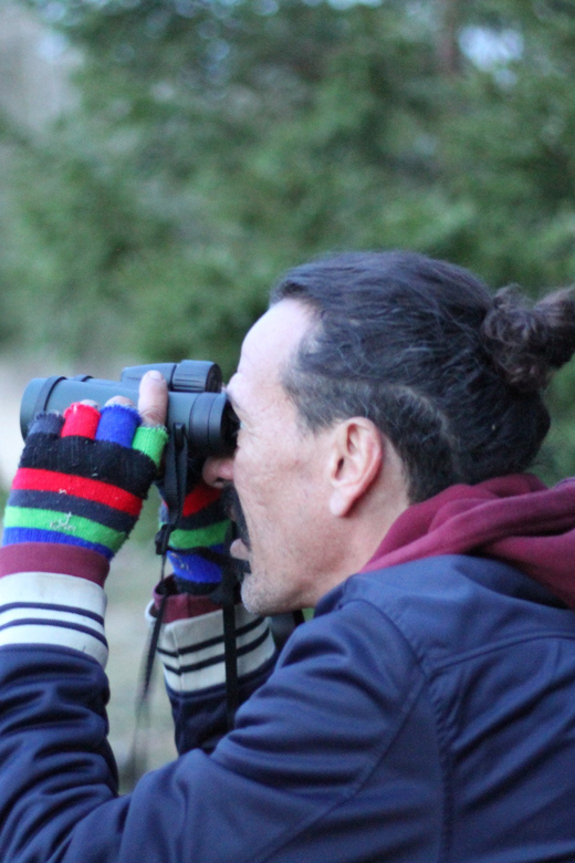Stockholm: Wildlife Tour With Dinner and Short Hike - Who will enjoy this most